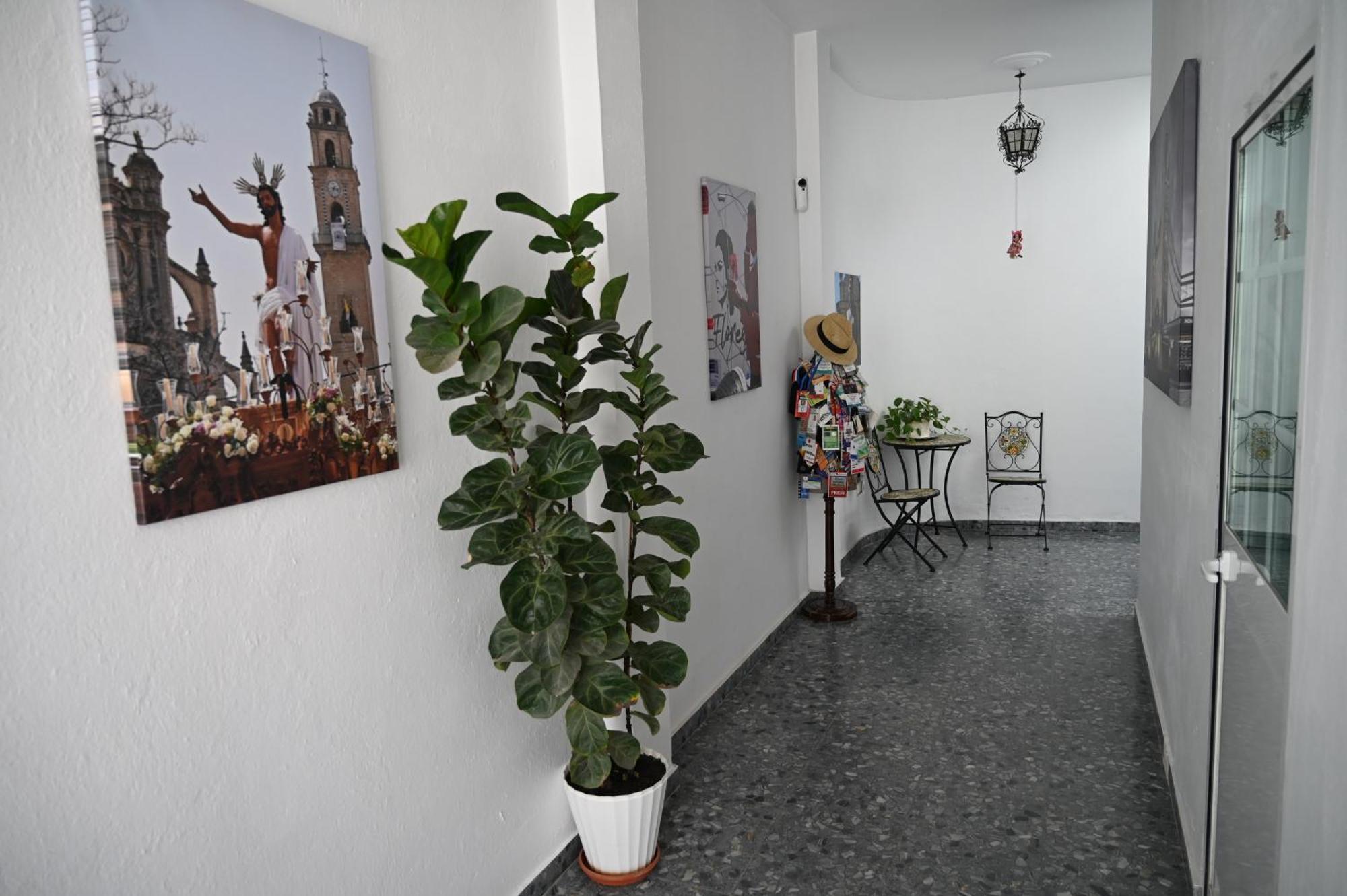 Bienvenidos A San Miguel Apartment Jerez de la Frontera Bagian luar foto